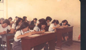 promo81b.jpg